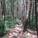 며느리 친정집 화전 이미지