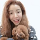 뽀그리헤어