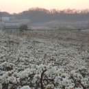 이화농장 이미지