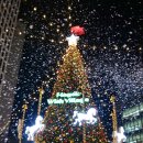 마곡위시빌리지 이미지