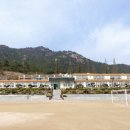 암태초등학교 이미지