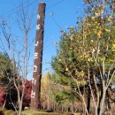 나무고아원 | [하남 아이와 가볼만한곳] 나무고아원 유아놀이시설 이용 후기 &amp; 단풍 산책