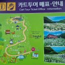 하늘리조트 | 하이원 리조트 하늘길 카트투어 탑승 후기