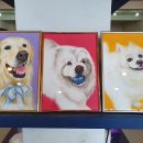 몽블리 애견카페 이미지