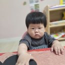 개미 모양 사포지위에 그림을 그려요~ 이미지