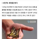 고독한 50대 독거남을 위한 희망 날개짓, "나비남 프로젝트" 이미지