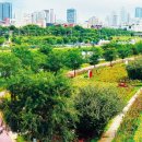 체육공원로 이미지