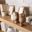 편안한집 이미지