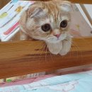 동근농장 이미지