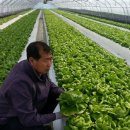 영환농장 이미지