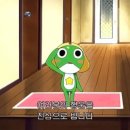 새독일약국 | 시드니로 도피를 떠나요🐨🇦🇺