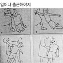 룰루투어 이미지