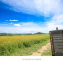 분황사주차장 이미지