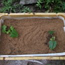 컨테이너 비어 이미지