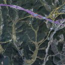 기준선생묘 이미지