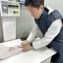 부산 리브동물의료센터 이미지