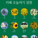 카페.오늘 이미지