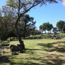 사려니하우스 이미지