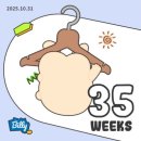 11545-11-31-35 | 임신 35–36주 일기 | 출산 전 마지막 출근과 출산휴가 시작(막달검사)