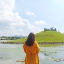 쉽고 예쁜 수채화(야간) | 순천 가볼만한곳/ 순천만국가정원 - 순천만습지