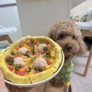 호돌유치원 | 애견수제간식 멍피자 🍕강아지피자 “알콩이네 수제간식” 호두피자 먹방후기🐶