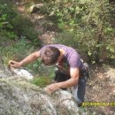 동막골캠프 이미지