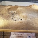 청양군백제문화체험박물관 이미지