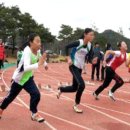 인제군대표 육상선수 선발전/강원도인제교육지원청 이미지