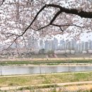 하천(충훈1교) 이미지