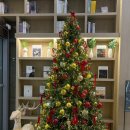 도서관나들이 | 남양주 정약용도서관 — 도서관 나들이 후기