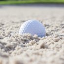 벙커구장 이미지