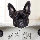 다산동물약국 이미지