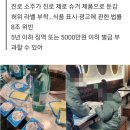 [단독] 진로 소주, 라벨만 바꿔 신제품으로?…두꺼비의 배신 이미지