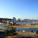 해변의터마루