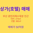 광안리공인중개사사무소 이미지