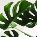 힐링스킨케어 이미지