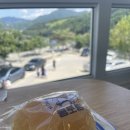 용연목장 | 태백카페 몽토랑 산양 목장 뷰 맛집!