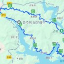 탄금호순환자전거길 10 | 충주호 라이딩 후기｜서운리순환임도 봄꽃 코스 자전거 여행기