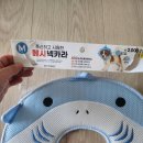 다이소 고양이 강아지 여름 메시 넥카라 내돈내산 후기