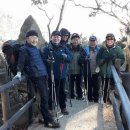 우이마루 이미지