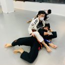 주짓수 복싱 이미지