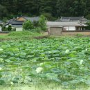 호연농장 이미지