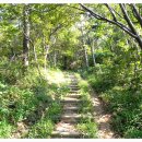 실안 노을길 이미지