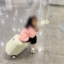 (주)타고 | 타고가요 캐리어 대한항공 기내반입 실제 탑승 후기