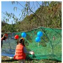 속리초교 병설유치원 이미지