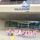 5월 19일 현장학습 - 아쿠아 플라넷 이미지