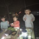 충북 영동 물한계곡 캠핑장 추천! 맑은누리야영장 재방문 후기