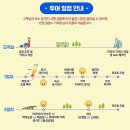 코타 키나발루 가이드맨 이미지