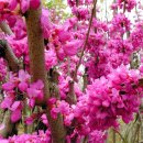 대구교육정보원 이미지