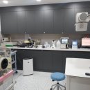 서울종합동물병원방배 이미지